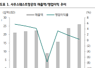 하나 "사우스웨스트항공, 하반기 실적 부진은 일시적…2027년 목표로 비행"