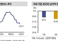 안갯속 탄핵정국, 어두운 기업 실적 더 추락하나.. 4분기도 2025년도 어렵다