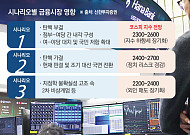 ‘탄핵정국’발 공포 또 공포.. 외국인 이어 개미도 국장 떠난다 [종합]