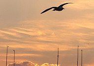 저물어 가는 2024년 갑진년…올해 마지막 해넘이 볼 수 있는 명소는?