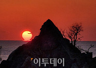 추암촛대바위서 바라본 새해 첫 해돋이 [포토]