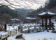긴 설연휴, 한복 입고 한컷 어때?…경기관광공사 포토스팟 5선