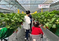 서울시, 사회복지시설 이용자 대상 ‘스마트농장 힐링 프로그램’ 운영
