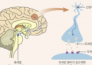 이유 없이 손 떨린다면 ‘이 질환’ 의심해야 [e건강~쏙]