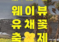 포근해진 날씨, 봄꽃 축제 즐겨볼까 [주말N축제]