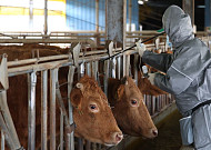 올해 신규 공중방역수의사 2명뿐…정부, 가축방역 인력 긴급 보강