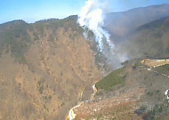 [속보] 경기 시흥시 과림동 일원 산불 발생
