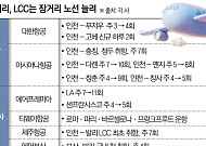 대형항공사는 단거리, LCC는 장거리…경계 흐려지는 항공업계