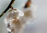 오늘은 '곡우' 뜻은?…"곡우에 비가 오면 풍년, 비가 없으면 흉년"