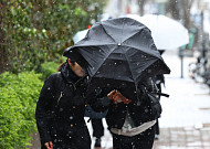 부산 강풍·호우 겹쳤다…안전재난문자 발송