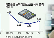 '연 6%대' 소액대출 금리…다시 붐비는 서민 급전창구