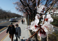 월요일 쌀쌀한 출근길…한낮은 '포근' 미세먼지 '나쁨' [날씨]