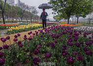 "우산 챙기세요" 월요일 전국 비 소식…일교차 커 [날씨]