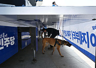 은퇴한 군견·경찰견도 새 가족 찾는다…입양하면 연 100만원 돌봄비 지원