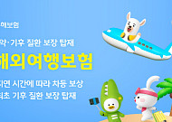 KB손보, 항공기 지연되면 최대 10만 원…기후 질환도 보장