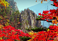 한반도 대표 명산 '금강산' 유네스코 세계유산 유력⋯등재 신청 4년만