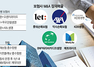 성장 멈춘 보험산업, 자생력 무너져…M&A 유일한 해법되나 [벼랑끝 중소 보험사中]