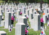 6.25전쟁 75주년, 잊지 말아야 할 참전국