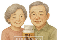 고령 운전자에 의한 사망률 높은 이유