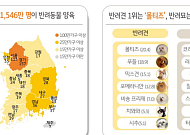 KB금융 “반려동물 인구 1546만⋯생애지출 규모 2년 새 2배 증가”