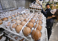 "달걀은 바이러스에 감염되지 않는다"[에그리씽]