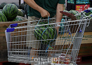 고기, 계란, 생선, 수박까지 금값⋯‘장봐서 해먹느니 HMR 산다’