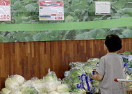 7월 물가 2.1% 상승…폭염·폭우로 과일·채소 가격 '껑충' [종합]