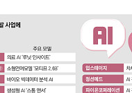 ‘국가대표 AI’ 경쟁에 빅테크와 맞짱 뜨는 ‘K-스타트업’