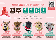 교감여행, ‘경주 댕댕여행’으로 반려견 맞이해볼까?
