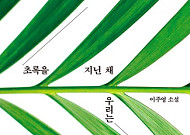 [신간] 사회적 편견과 싸워가는 이들을 위해…'초록을 지닌 채 우리는'