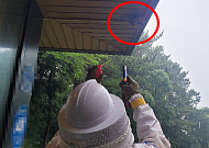 벌에 쏘인 조심하세요...이달 제주도서 200건