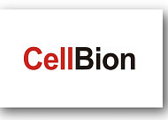 [BioS]셀비온, 500억 규모 CPS·CB 발행 결정