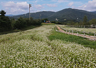 “선선한 가을, 늦캉스 어때요?” 리조트, 초가을 특화 프로그램 경쟁 [배근미의 호스테리아]
