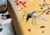 가을 모기, 진짜 더 독할까?…모기 속설 모음집 [해시태그]