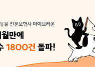 “‘반려동물만 생각하는 보험’ 통했다” 마이브라운, 론칭 두 달 만에 계약건수 1800건 돌파