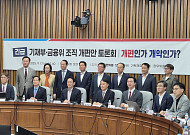 “금융감독 체계 개편, 정부에 충실한 시녀만 늘어날 것”