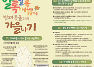 반려견 요트투어부터 휴게소 놀이터까지…"가을엔 반려동물과 여행 가자"