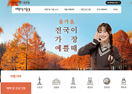 가을여행 인기 19개 코스, 지금 예약하면 최대 49% 할인