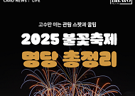 [카드뉴스] '2025 여의도 불꽃축제' 고수만 아는 숨은 명당 총정리