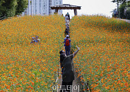 절기상 추분(秋分) 완연한 가을 날씨... '흐리고 일교차 큰 하루' [포토로그]