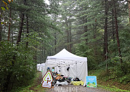 '도심 숲속에서 꿀잠' 유한킴벌리, 2025 우리 강산 푸르게 푸르게 숲속 꿀잠 대회 개최 [포토]