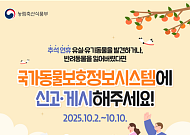 추석 연휴 멍냥이도 안전! 유실·유기동물 구조·진료 서비스
