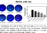 홍어껍질이 체지방 감소에 효과 인증⋯해양생명자원 4종 식약처 개별인정