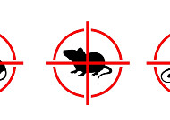 야외활동 늘어나는 추석 연휴…“쥐가 지나간 자리 피하세요”