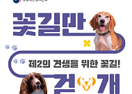 ‘국가에 봉사한 은퇴 탐지견’, 따뜻한 가족 찾아요