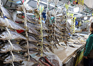 전남 '영광굴비' 중국산 부세가 대세...참조기 말린 굴비는 옛말