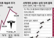 “미워도 다시 한번”…테슬라로 몰려간 서학개미