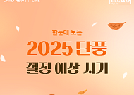 [카드뉴스] 2025 단풍 절정 시기, 명소·산행 정보 A to Z