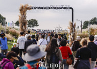 '6만평 규모 하늘공원에서 억새 구경해요' 서울억새축제 찾은 시민들 [포토]
