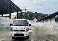 럼피스킨병 2종으로 내리고 사체처리업 신설…방역관리 손질